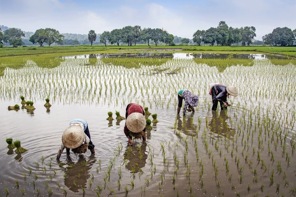 PM Kisan Yojana 2024